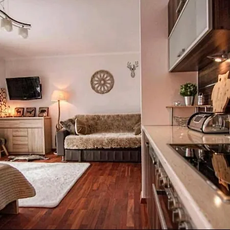 Na Koscieliskim Wierchu Apartment Koscielisko